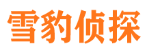 山阴市调查公司